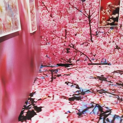 蜷川実花 写真