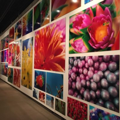 蜷川実花 写真