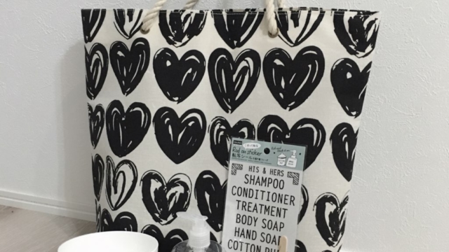 ダイソーモノトーン商品を購入