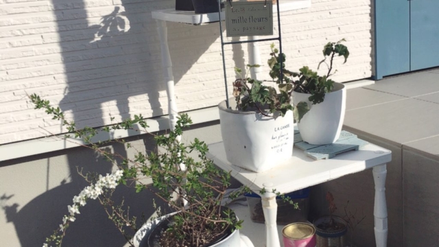 おしゃれな玄関前にする為に ポタフルール雑貨 花壇の植物は シルバーリーフ に決定 目指せフレンチシック オシャレな家づくり