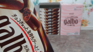 ガルボの大人買い