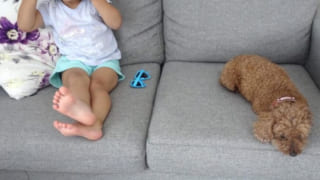 子どもと犬と暮らす家