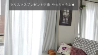 プレゼント企画