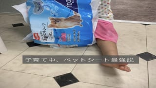子育て中はペットシートが役に立つ