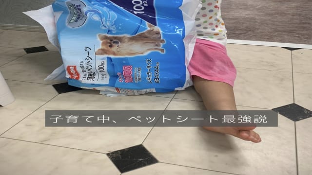 子育て中はペットシートが役に立つ