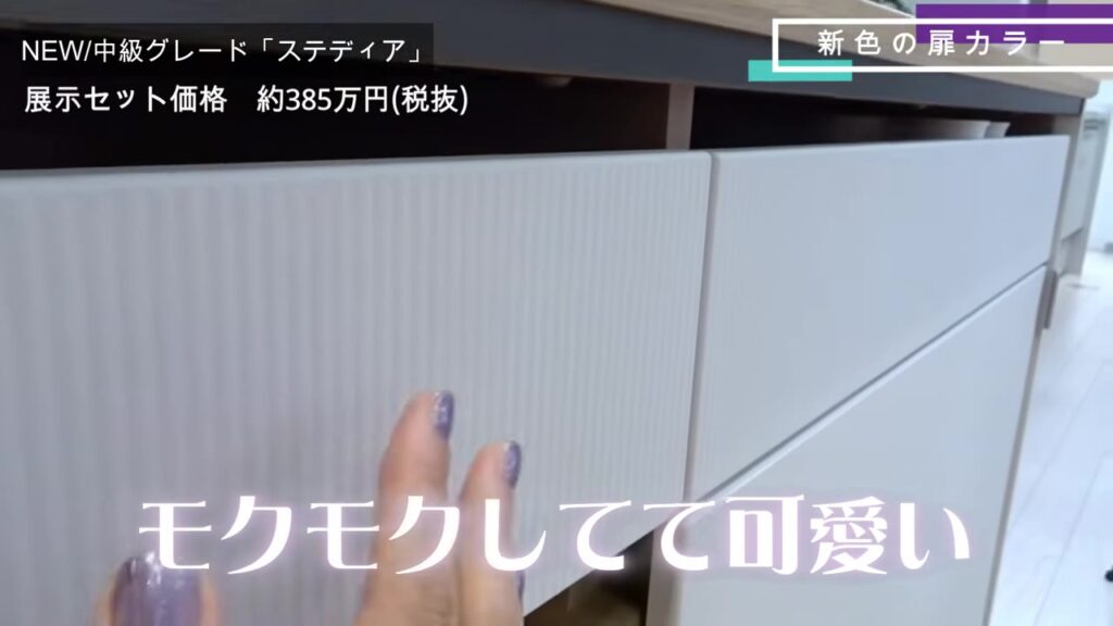 ステディアの新色の扉 凹凸のあるデザイン