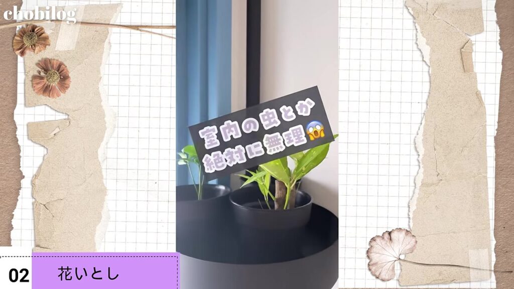 花いとしは室内の観葉植物の虫対策にも使える