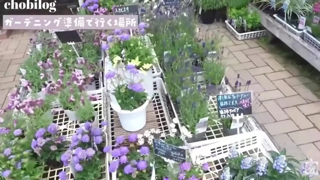 ファーマーズマーケットの花の苗売り場