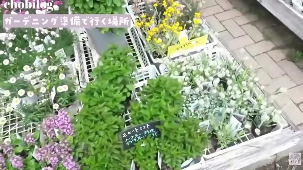 ファーマーズマーケットに並ぶ花やハーブの苗