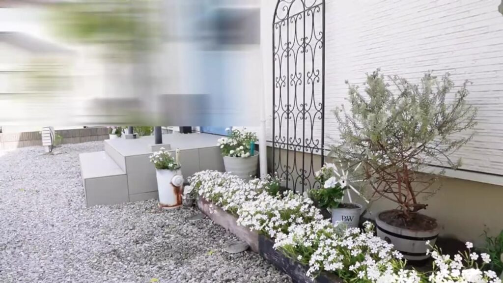 白い花とシルバーリーフでおしゃれにした玄関前の庭