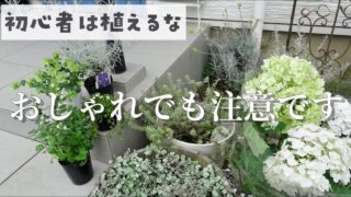 【庭のテロリスト】危険な植物６選/おしゃれな玄関の大敵