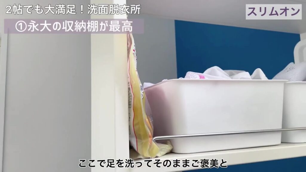 スリムオンの棚に置いた犬のおやつと洗濯ネットのボックス