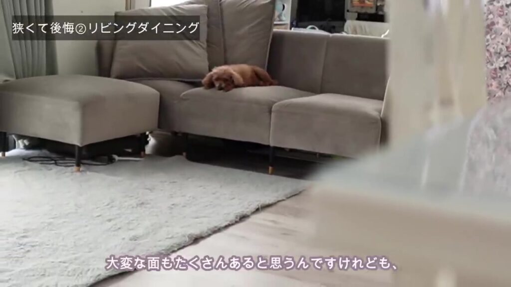 16畳LDKのリビングのソファ