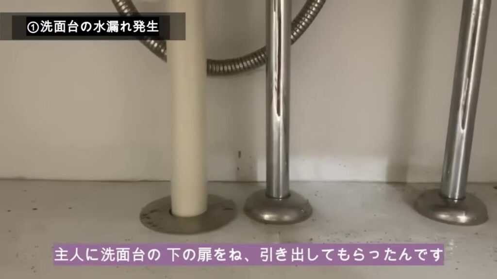 洗面台の下の扉を引き出した中の様子