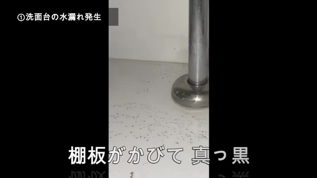 洗面台の下の棚板がカビて黒い点だらけになった様子