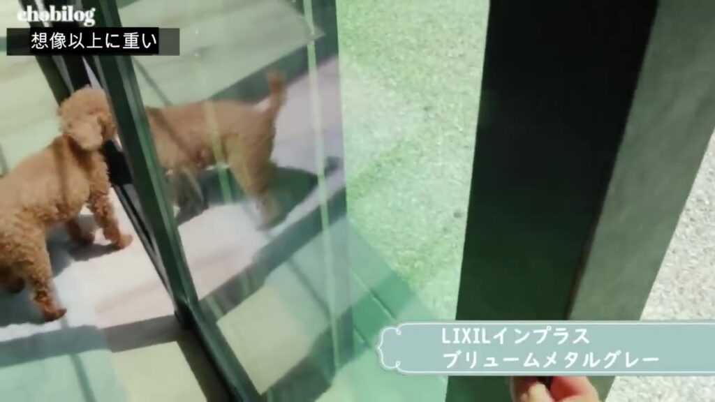 インプラスの掃き出し窓を開ける様子と愛犬