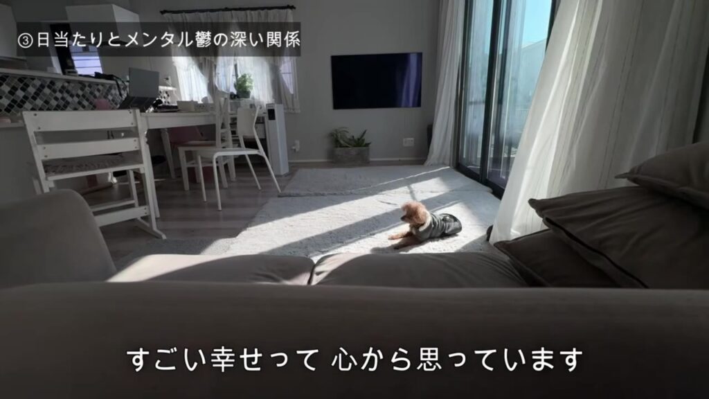 日差しの中で日向ぼっこするワンコと日当たりの悪い家のリビング