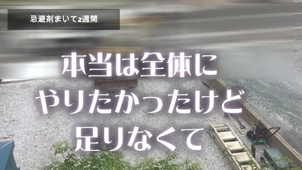 猫よけ忌避剤を駐車場の枠に沿ってまいた場所