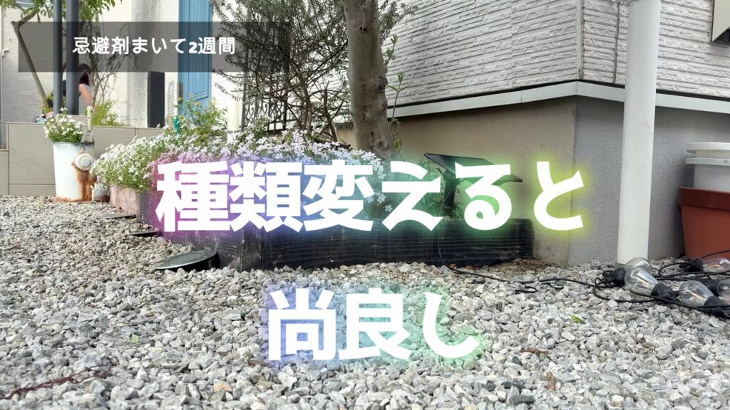 猫よけ忌避剤は種類を変えるとさらに効果的