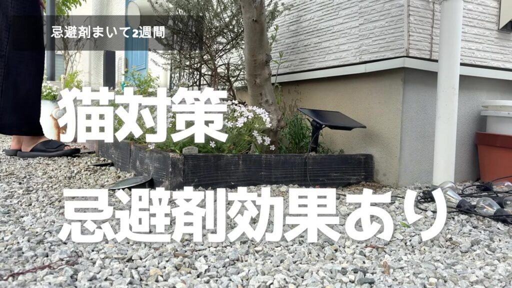 猫対策は忌避剤に効果あり