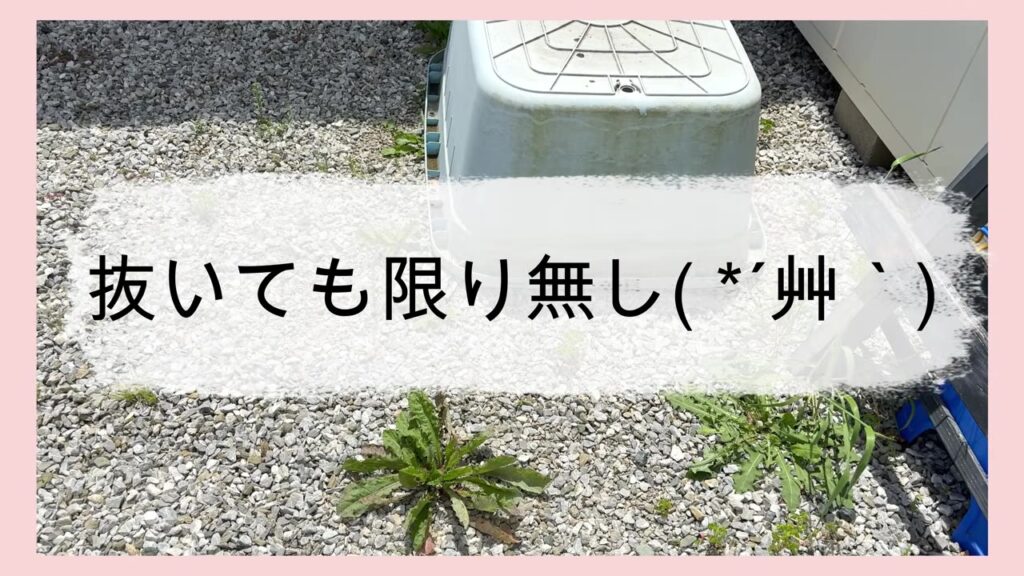 砂利の庭に生えた雑草 抜いても限りなし
