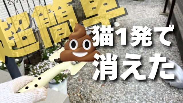 【庭の敵】猫のふん対策には〇〇！超音波と木酢液は辞めとけ
