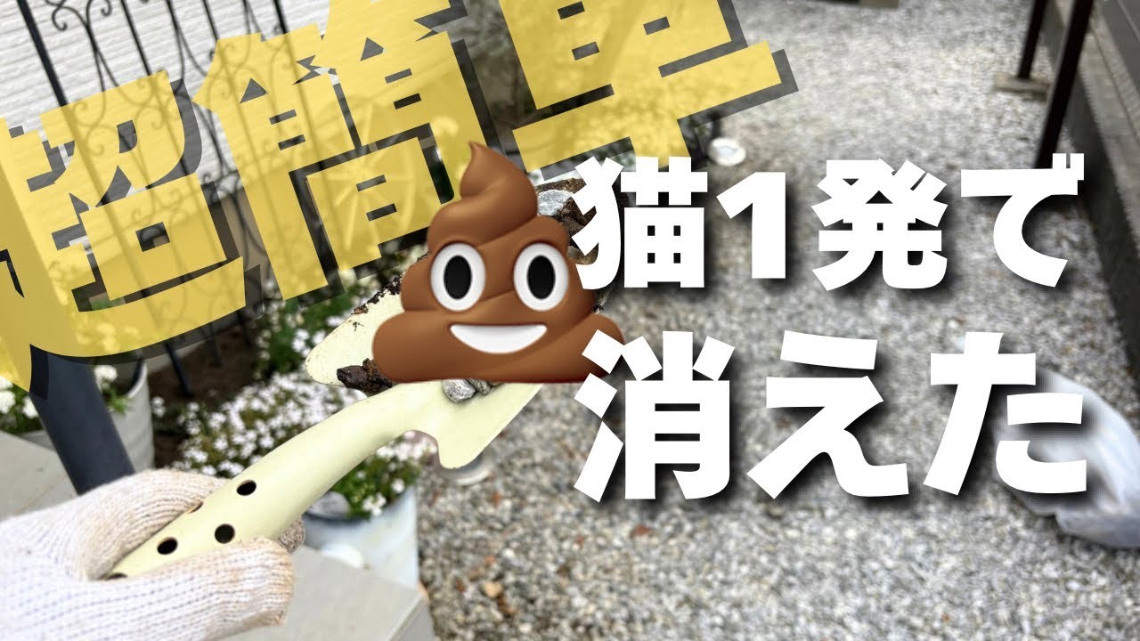 【庭の敵】猫のふん対策には〇〇！超音波と木酢液は辞めとけ