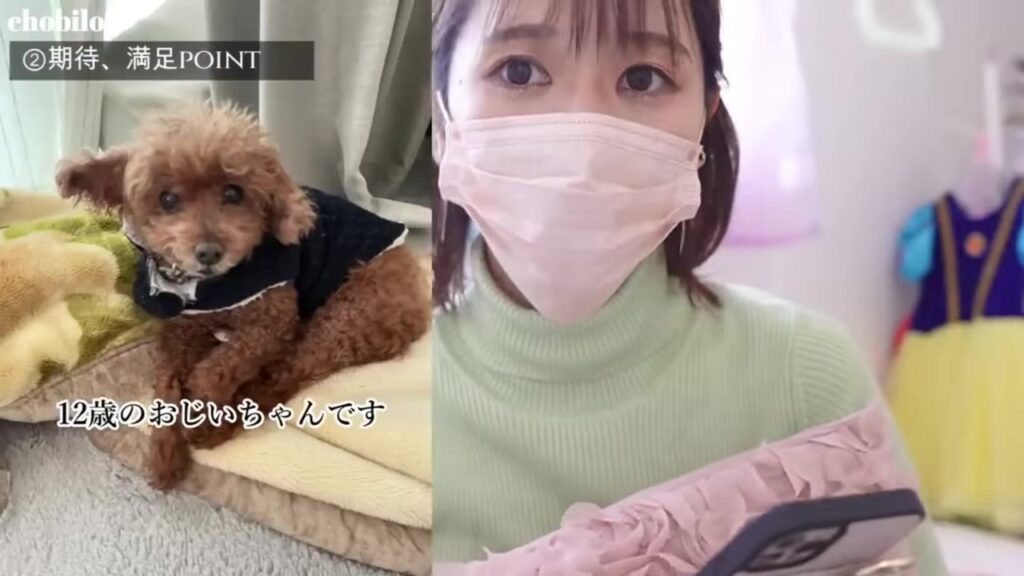 内窓の防音効果で鳴き声の心配が減った12歳の愛犬ちょび