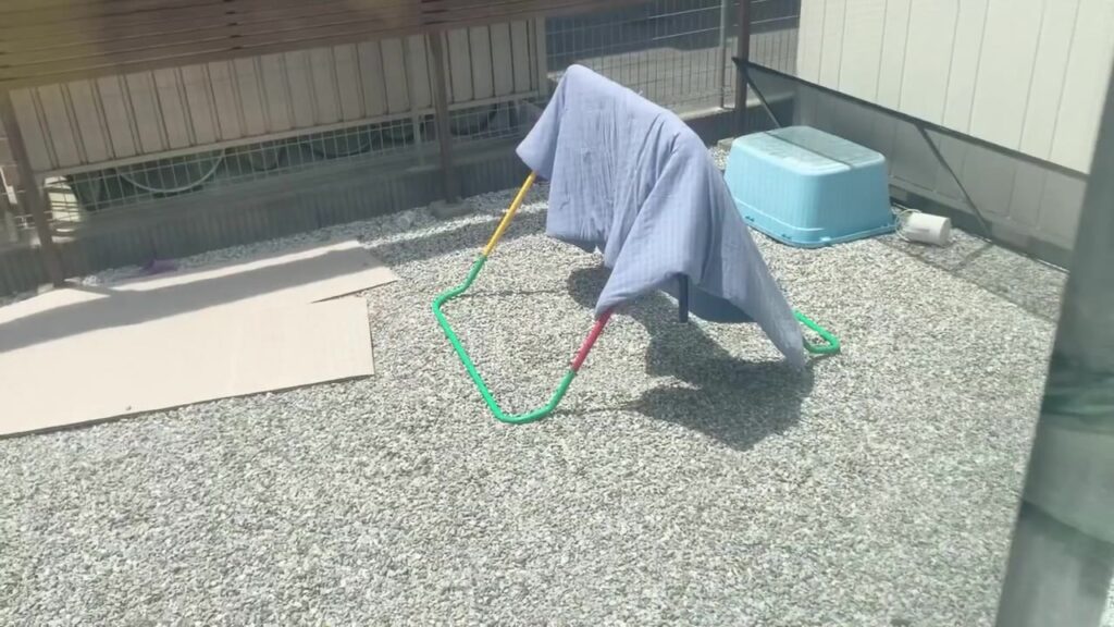 お昼寝用の布団を外で天日干し