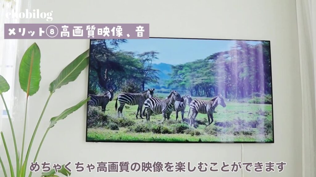 ウォールフィットテレビの高画質な映像。シマウマのデモ映像