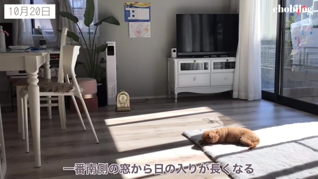 10月20日 南側の窓から日差しが入る日当たりの時間