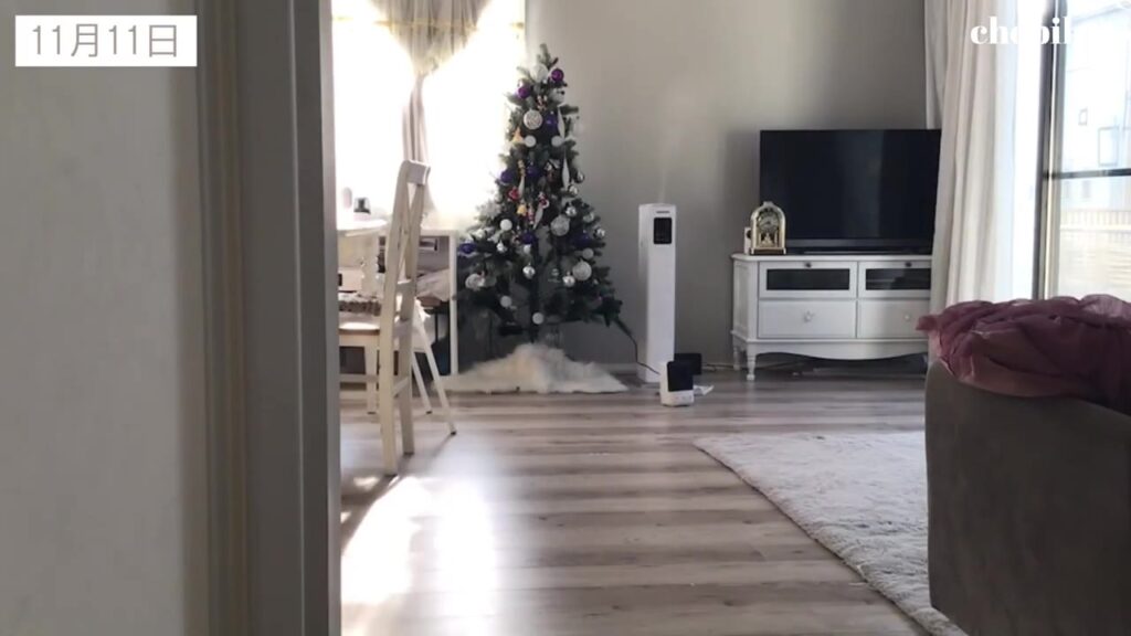 11月11日 クリスマスツリーのあるリビングの日当たり