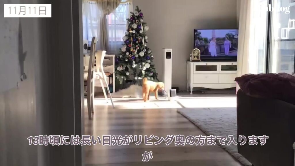 13時頃 リビングの奥まで長い日光が入る11月の日当たり