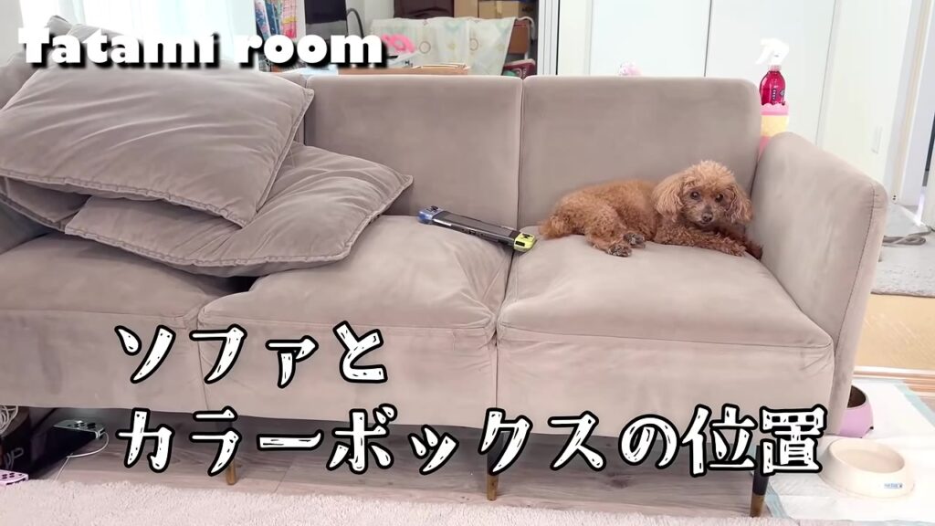 ソファの裏にカラーボックスを置いたリビング